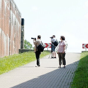 DSC 1125 dxo 1000