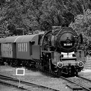 DSC3441 01