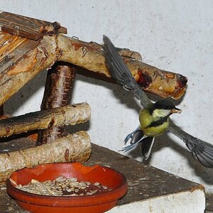 Der Abflug