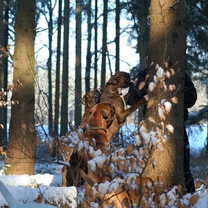 DSC 0260 900x598