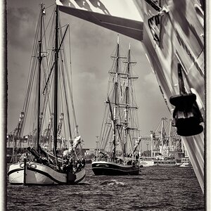 TZ ZIM 2570 BW