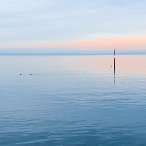 Winterliche Ruhe am See