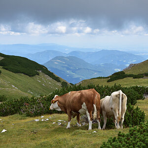 Blick ins Tal (vom Schneeberg)