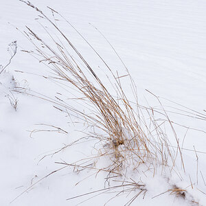 Winter in Traiskirchen