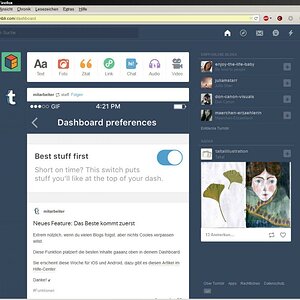 blog2 falschdarstellung 2
