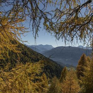 herbst 5