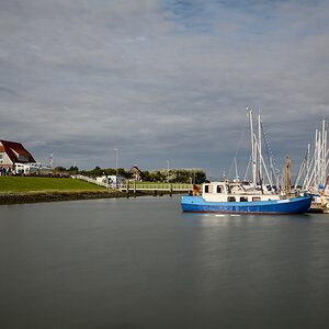 DSC 4721