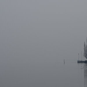 Bodensee im Nebel
(Überlinger See bei Bodman)