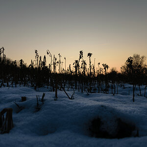 winterlicher Sonnenuntergang