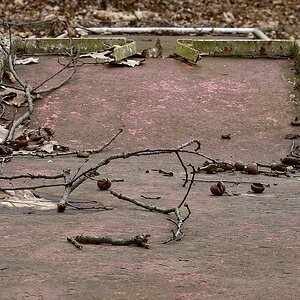 Fotoforum Loch 10 (1)