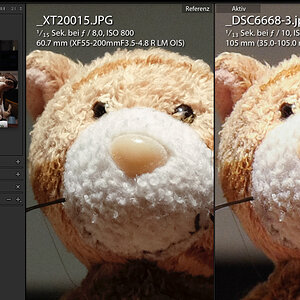 D700 vs XT2 ISO800