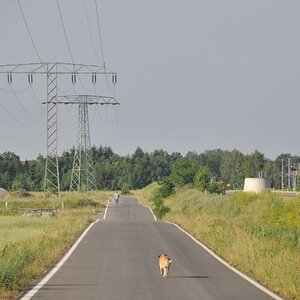 20180530 02 PutinsRunde
