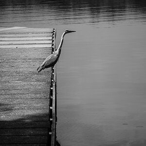 comp DSC 2751 2