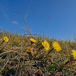 der sonne entgegen  ©GW