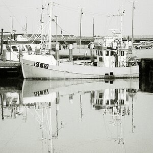 TZ F1000015 1