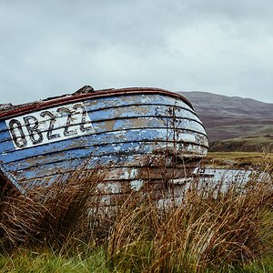 comp Schottland 2017     (17)