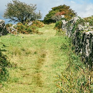 comp Schottland 2017     (22)
