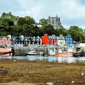 comp Schottland 2017     (27)