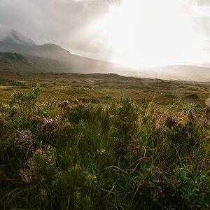 comp Schottland 2017     (70)