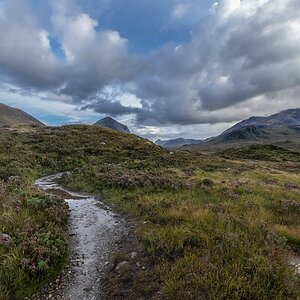 comp Schottland 2017     (79)