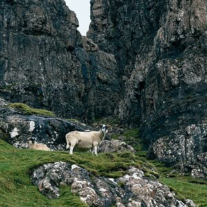 comp Schottland 2017     (110)