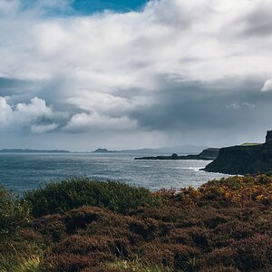 comp Schottland 2017     (127)