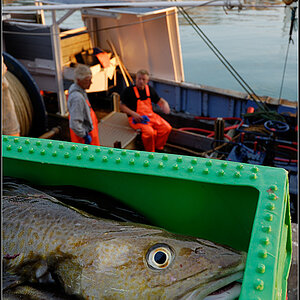 hirtshals05