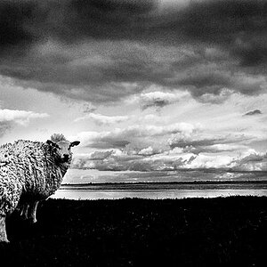 2009 06 11 Weltreise Nordsee D7C 1625 sw
