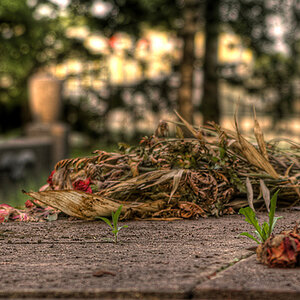 Friedhof Dalgow HDR 29