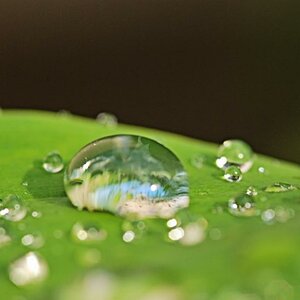 Wassertropfen