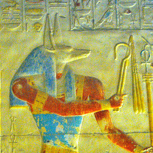 anubis Crop