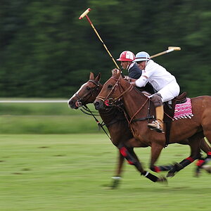 20090529 183353a Polo Landsberg 01