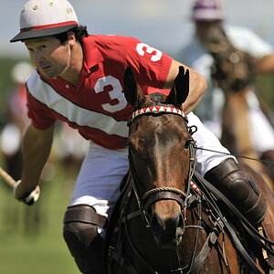 NF F 1 20090529 144815 Polo Landsberg 01
