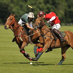 NF F 8 20090529 162209a Polo Landsberg 01