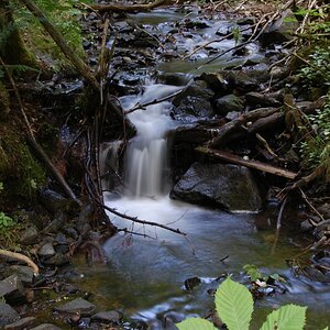 Wasser