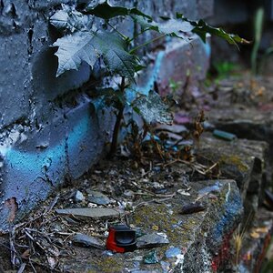 DSC 7791