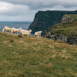 comp Schottland 2017     (141)