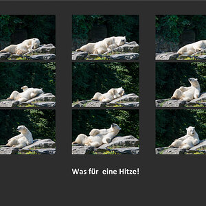 Hitze 2