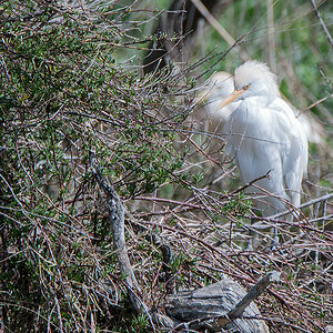 DSC 3611 Bearbeitet