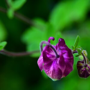 comp DSC 2228 2