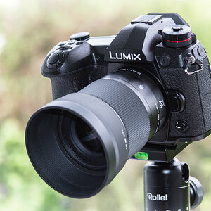 DC-G9 mit Sigma 30mm 1:1.4 DC DN