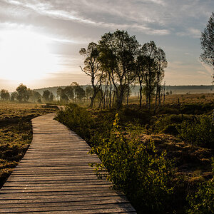 Hohes Venn 10