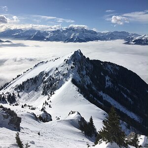 IMG 0943 00001