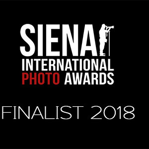 Finalist  Logo 2018