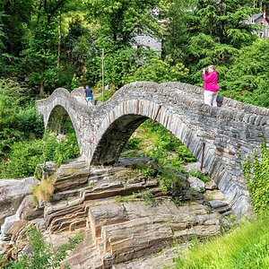 comp D50 2285 1