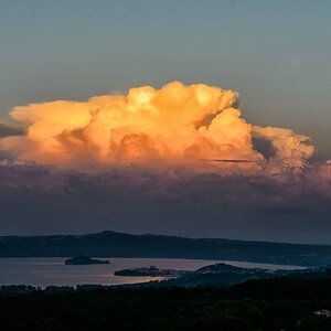 TZ ZIM 6476