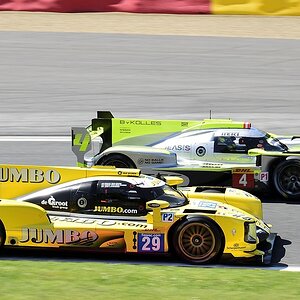 LMP1 / LMP2 Race (9)