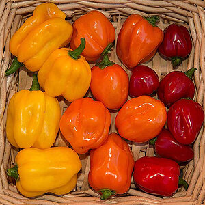 Habaneros 2
