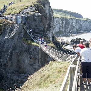Rope bridge Carrick a Rede3