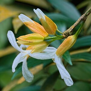 Image00011k